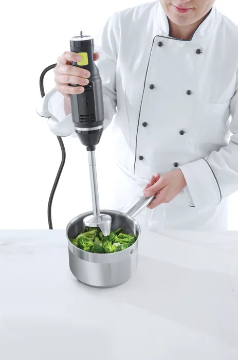 Hendi Blend Staafmixer